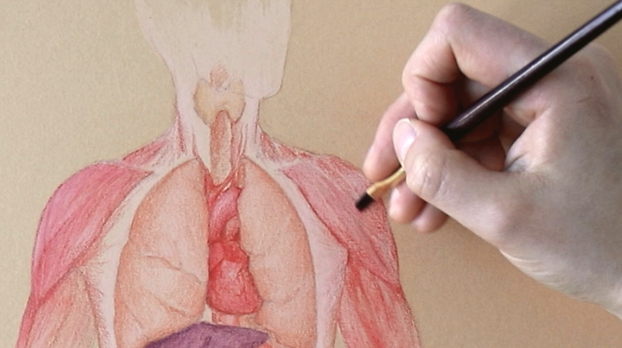 An image of a human body being painted