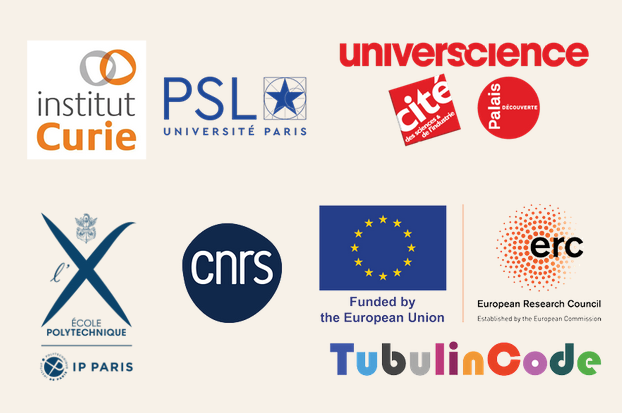 An assortment of logos from our partners including CNRS and the Curie Institute